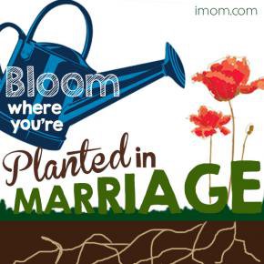 Bloom Where You're Planted in Marriage