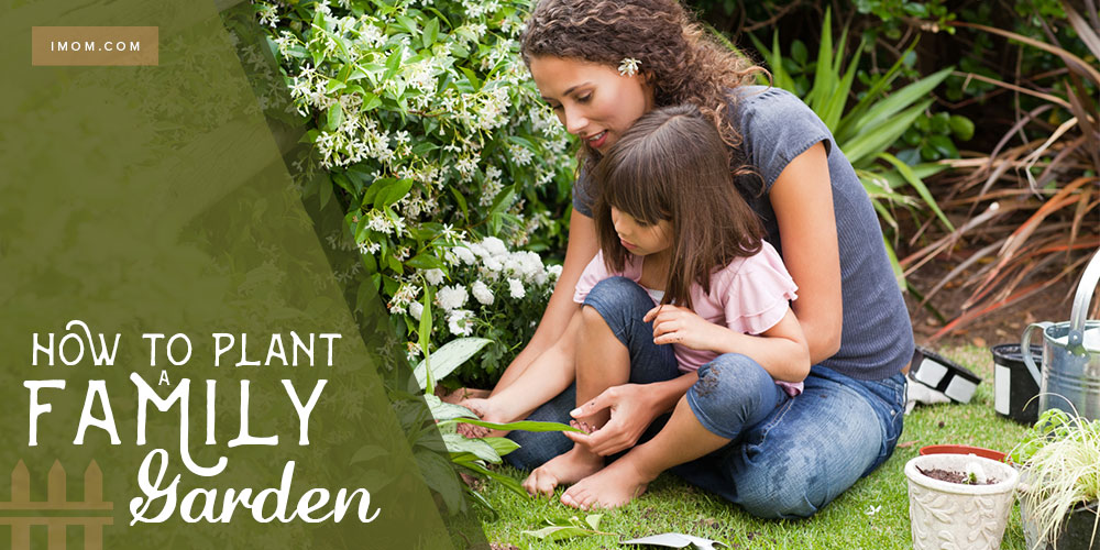 How to Plant a Family Garden - iMom