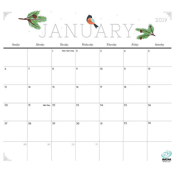 Funny Jan 2019 Calendars - FREE DOWNLOAD