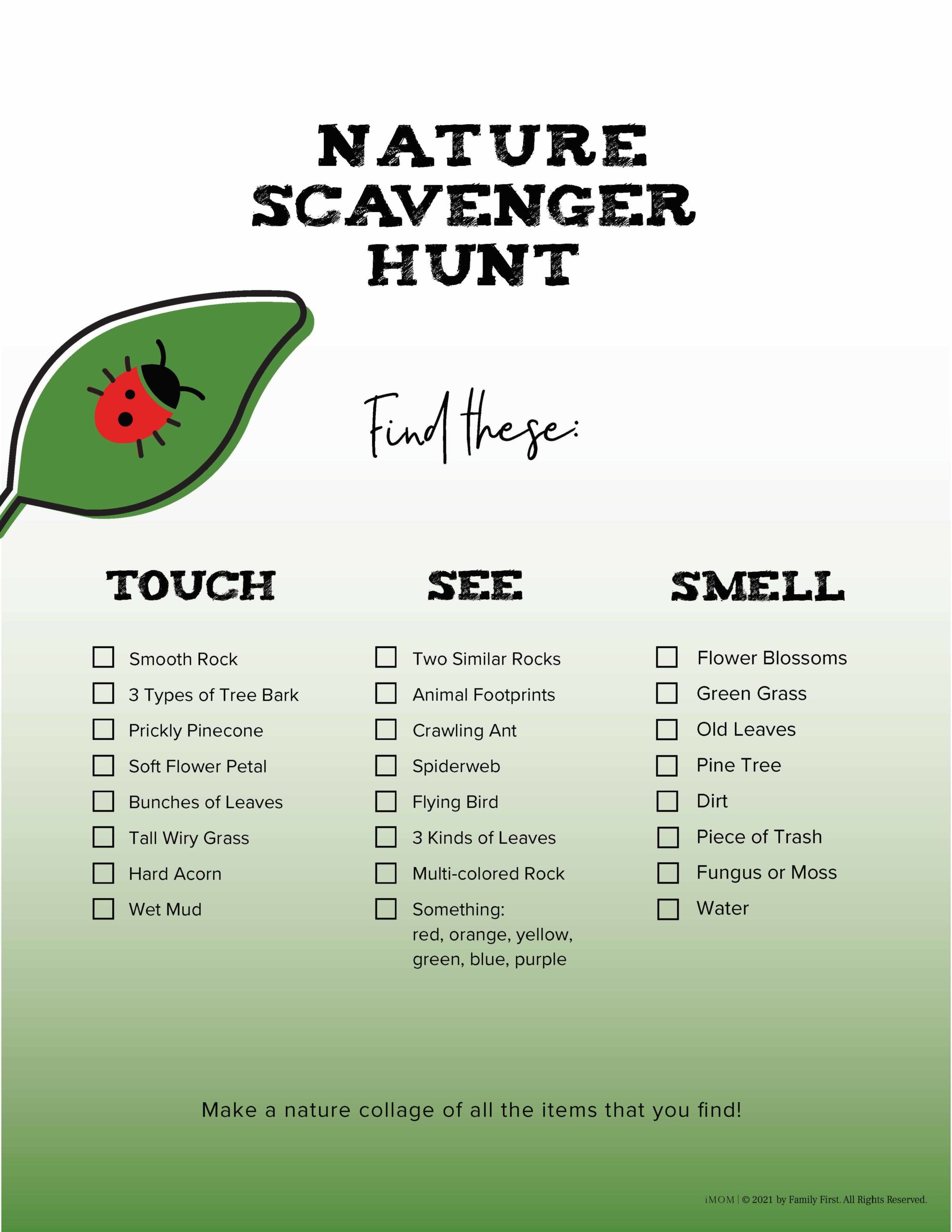 Scavenger Picture Hunt Ideas