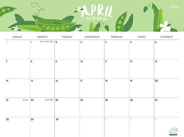 The Foodie Collection 2019 Calendar IMom