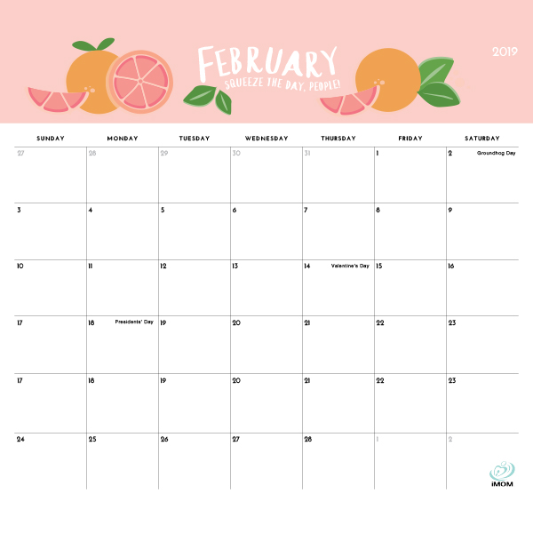 The Foo Collection 2019 Calendar IMom
